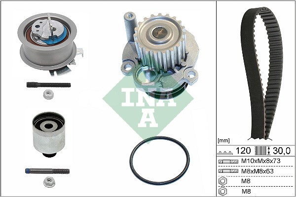 Water Pump & Timing Belt Kit INA 530020132