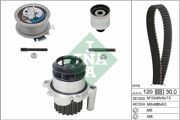 Water Pump & Timing Belt Kit INA 530020130