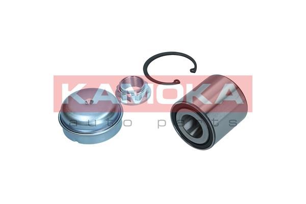 Wheel Bearing Kit KAMOKA 5600184 3