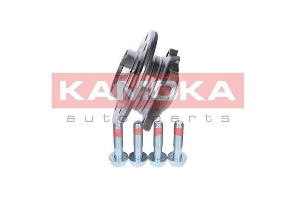 Wheel Bearing Kit KAMOKA 5500133 2