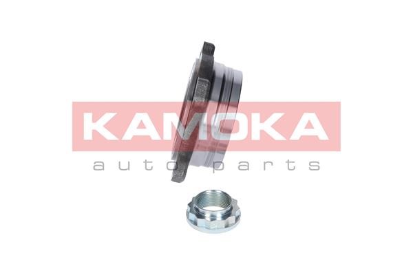 Wheel Bearing Kit KAMOKA 5500052 2