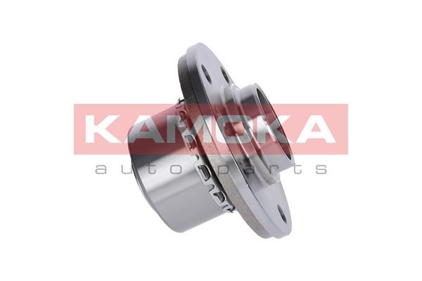 Wheel Bearing Kit KAMOKA 5500141 4