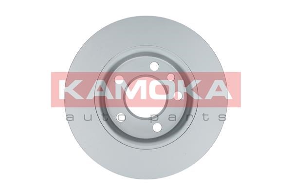Brake Disc KAMOKA 1031120 2