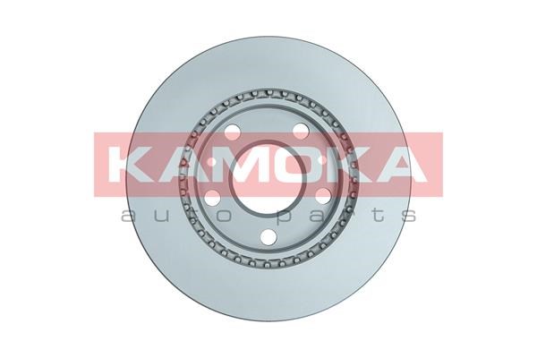 Brake Disc KAMOKA 103576 2