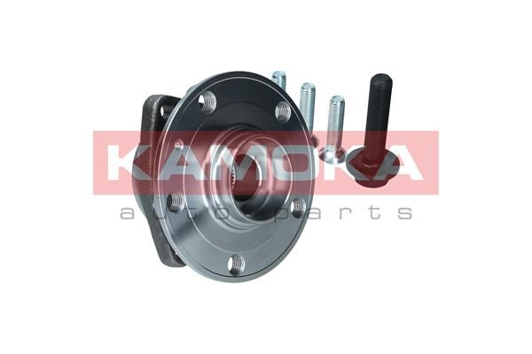Wheel Bearing Kit KAMOKA 5500171 4