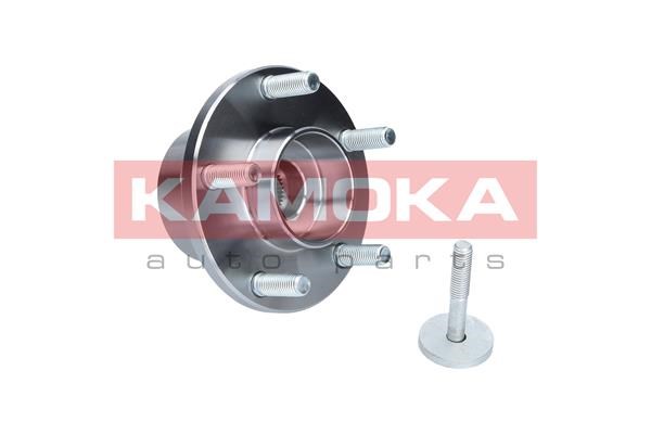 Wheel Bearing Kit KAMOKA 5500065