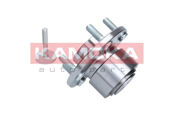 Wheel Bearing Kit KAMOKA 5500065 3