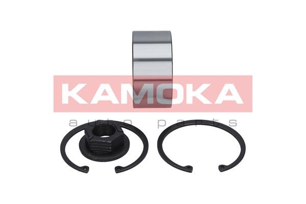 Wheel Bearing Kit KAMOKA 5600016 2