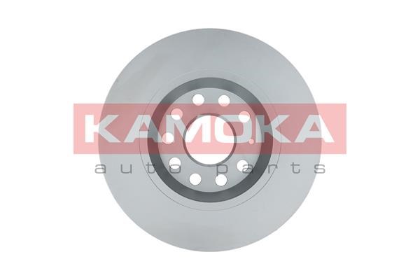 Brake Disc KAMOKA 1031005 2
