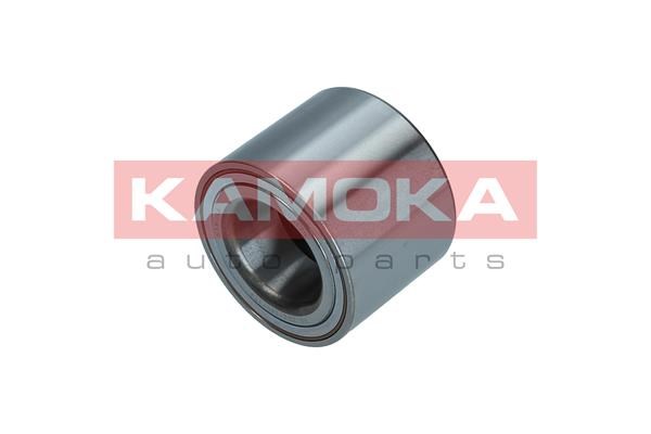 Wheel Bearing Kit KAMOKA 5600170