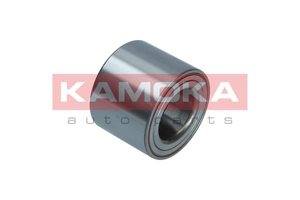 Wheel Bearing Kit KAMOKA 5600170 2