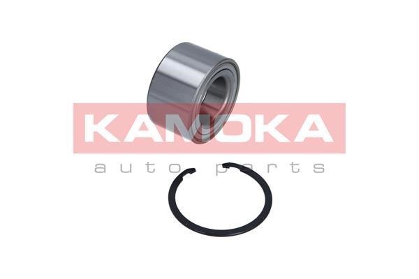 Wheel Bearing Kit KAMOKA 5600057 2