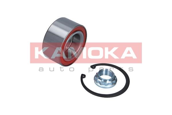 Wheel Bearing Kit KAMOKA 5600079 2