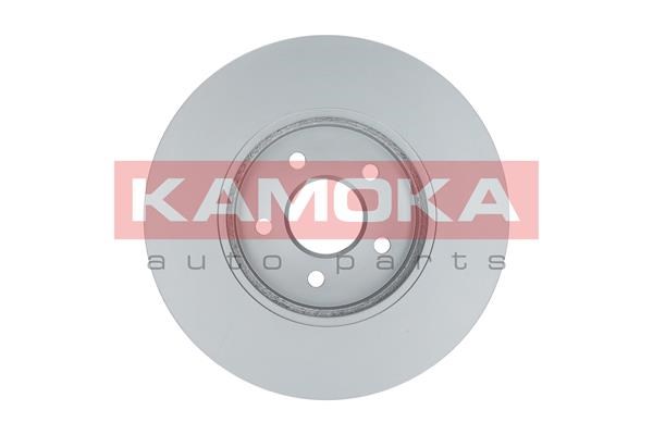 Brake Disc KAMOKA 1032250 2
