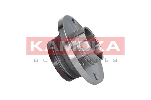 Wheel Bearing Kit KAMOKA 5500030 4