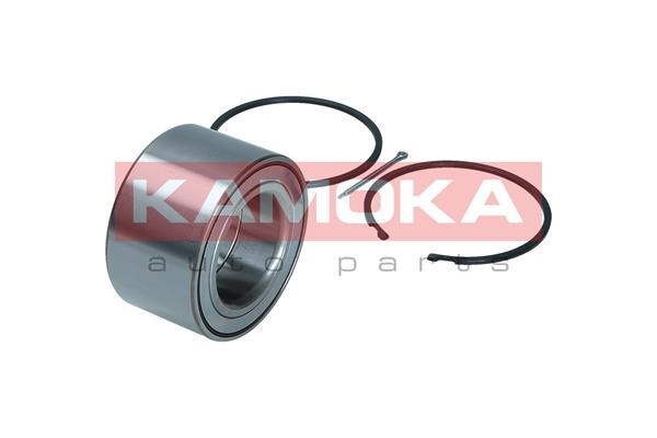 Wheel Bearing Kit KAMOKA 5600194 4
