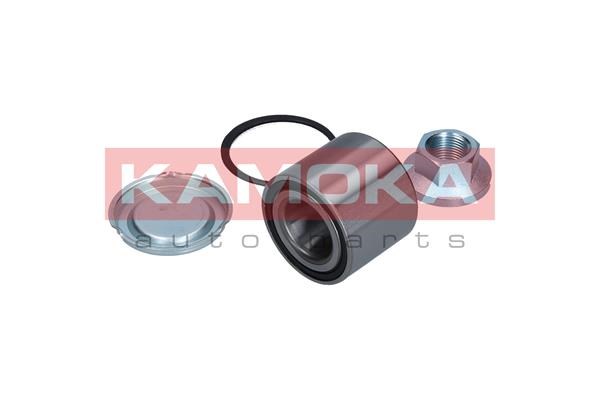 Wheel Bearing Kit KAMOKA 5600048