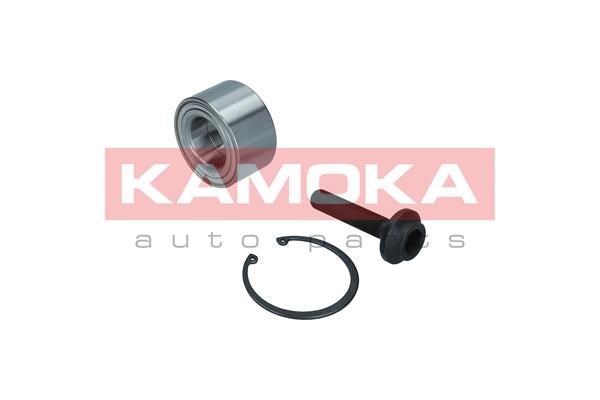 Wheel Bearing Kit KAMOKA 5600105