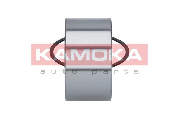 Wheel Bearing Kit KAMOKA 5600044 4