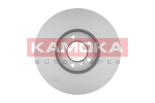 Brake Disc KAMOKA 1031026 2