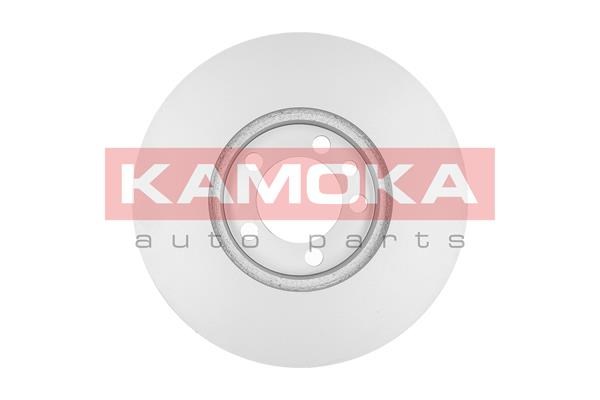 Brake Disc KAMOKA 1031109 2