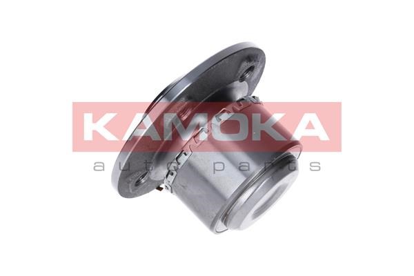 Wheel Bearing Kit KAMOKA 5500136 2