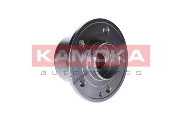 Wheel Bearing Kit KAMOKA 5500136 4