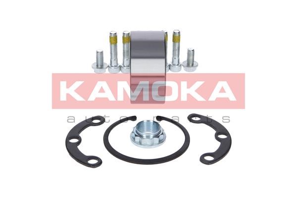 Wheel Bearing Kit KAMOKA 5600064 2