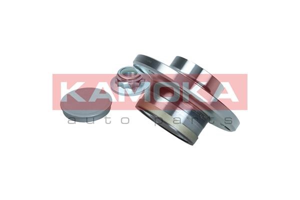 Wheel Bearing Kit KAMOKA 5500346 3