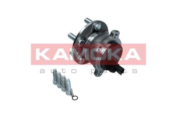 Wheel Bearing Kit KAMOKA 5500243 3