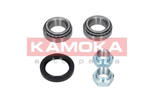 Wheel Bearing Kit KAMOKA 5600010