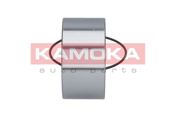 Wheel Bearing Kit KAMOKA 5600006 4