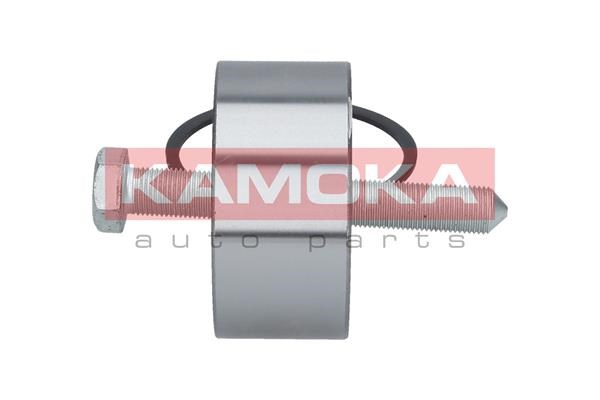 Wheel Bearing Kit KAMOKA 5600024 4