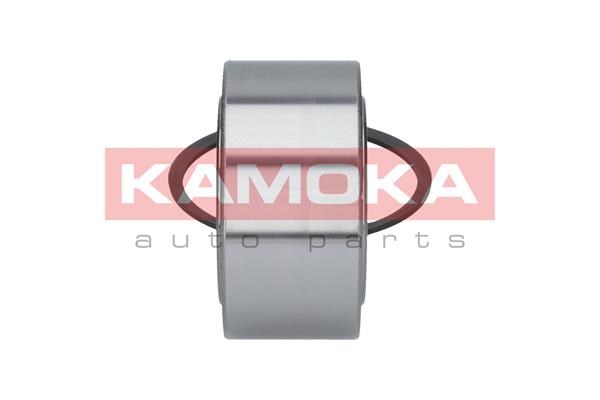Wheel Bearing Kit KAMOKA 5600036 4