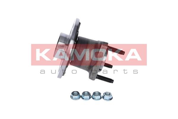 Wheel Bearing Kit KAMOKA 5500079 2