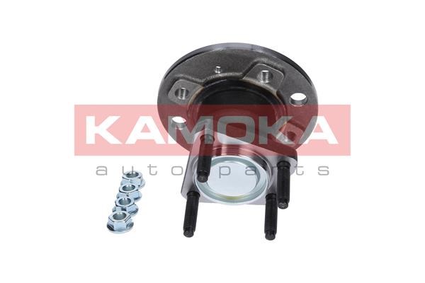 Wheel Bearing Kit KAMOKA 5500079 3