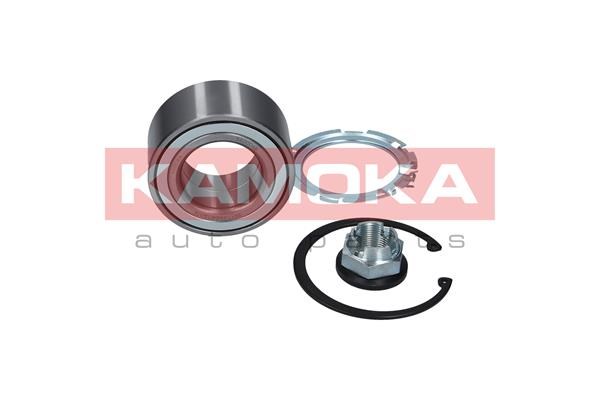 Wheel Bearing Kit KAMOKA 5600049