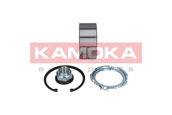 Wheel Bearing Kit KAMOKA 5600049 2