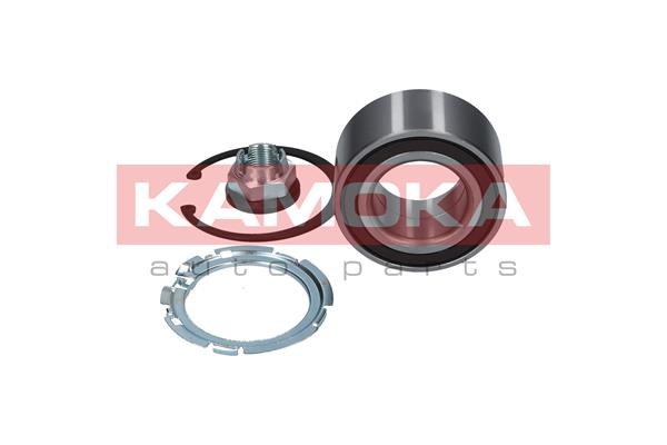 Wheel Bearing Kit KAMOKA 5600049 3