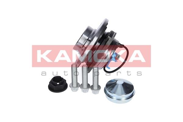 Wheel Bearing Kit KAMOKA 5500131 2