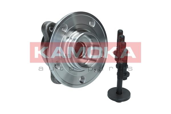 Wheel Bearing Kit KAMOKA 5500379