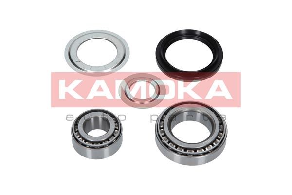 Wheel Bearing Kit KAMOKA 5600039