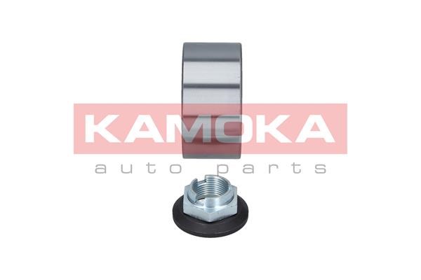 Wheel Bearing Kit KAMOKA 5600018 2