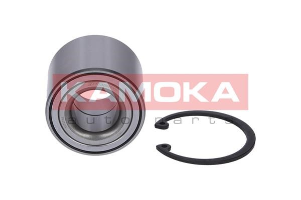 Wheel Bearing Kit KAMOKA 5600046