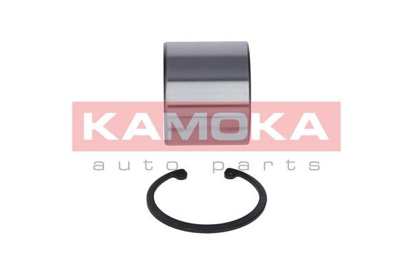 Wheel Bearing Kit KAMOKA 5600046 2
