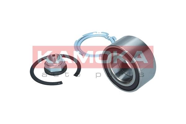 Wheel Bearing Kit KAMOKA 5600215 3