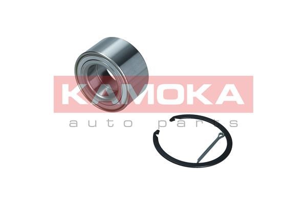 Wheel Bearing Kit KAMOKA 5600164