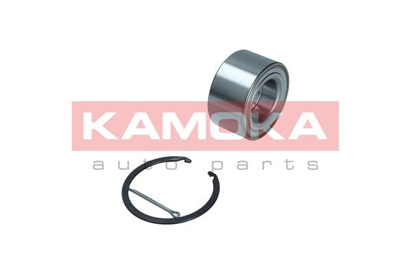 Wheel Bearing Kit KAMOKA 5600164 2
