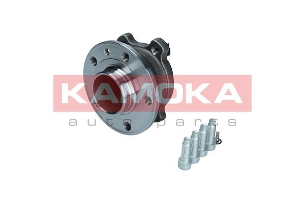 Wheel Bearing Kit KAMOKA 5500373
