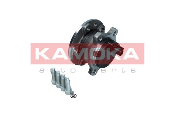 Wheel Bearing Kit KAMOKA 5500373 2